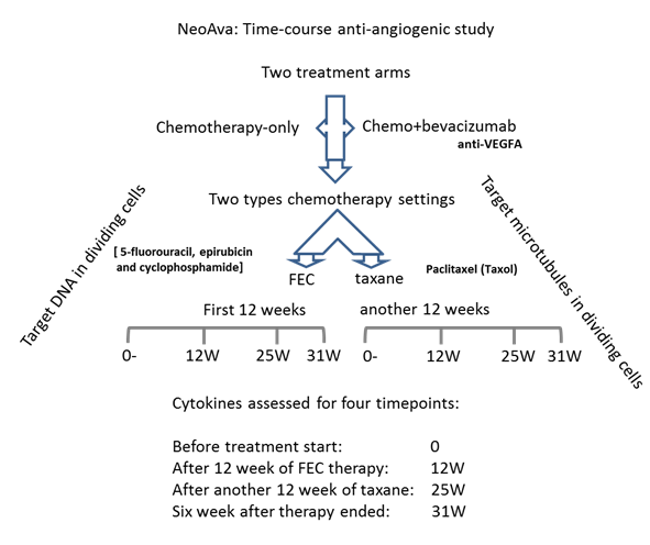 Figure 2. Normal to cancer.